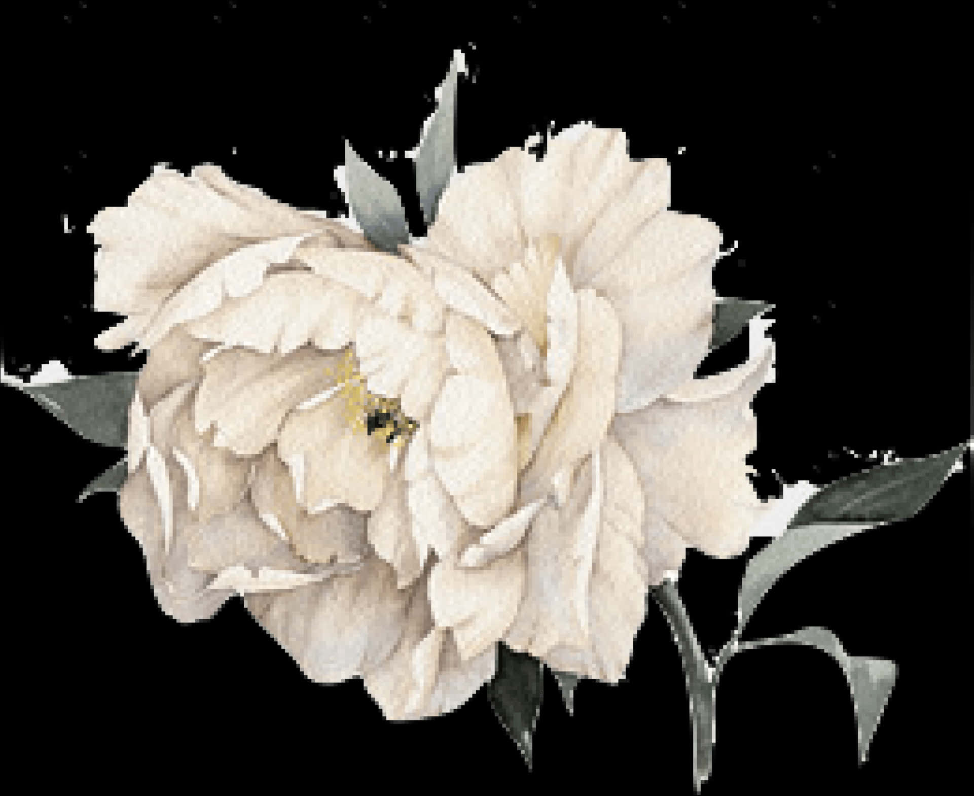 Elegant Peony Watercolor