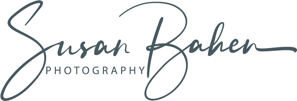 Elegant Photography Logo Susan Baken