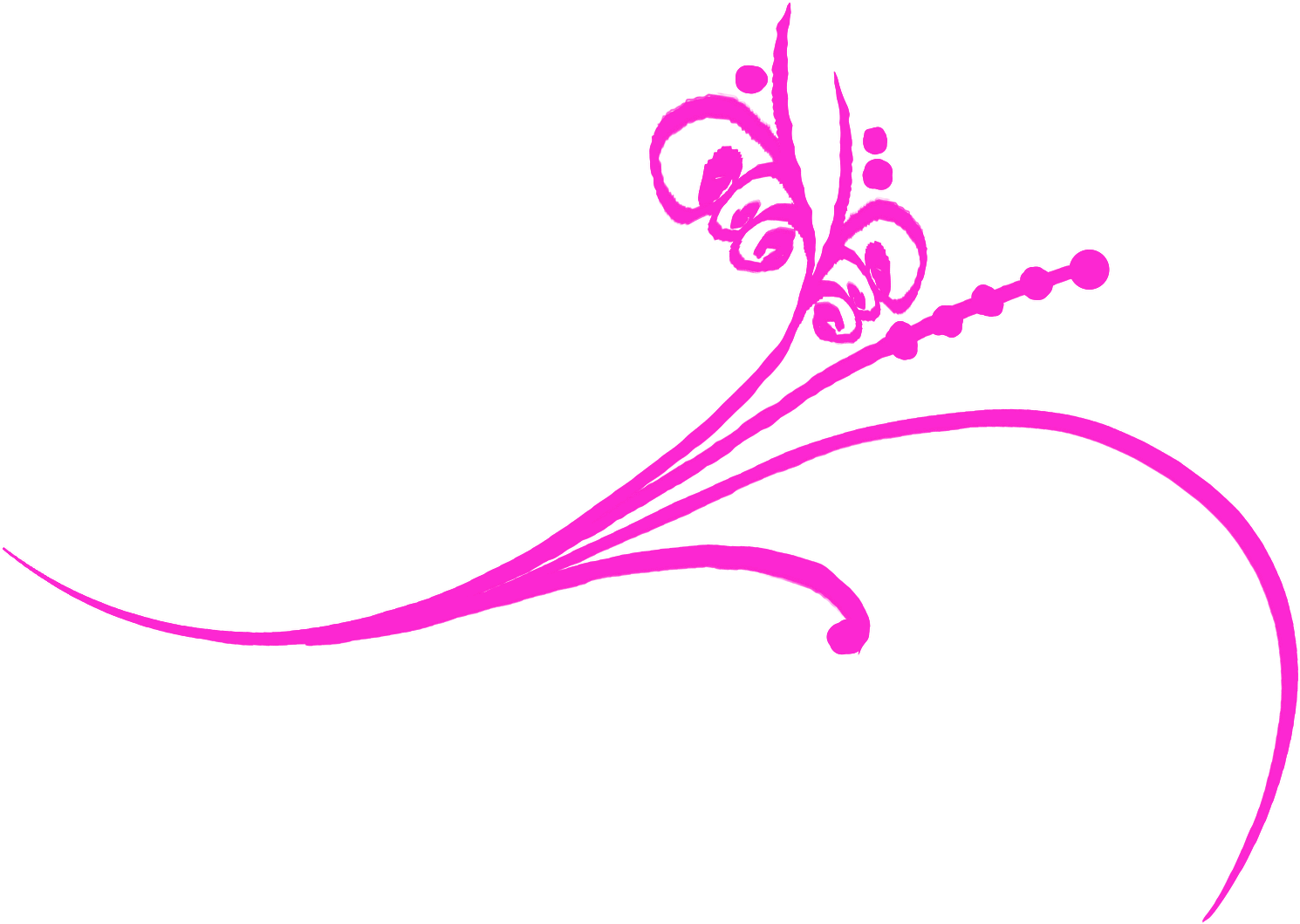 Elegant Pink Flourish Graphic