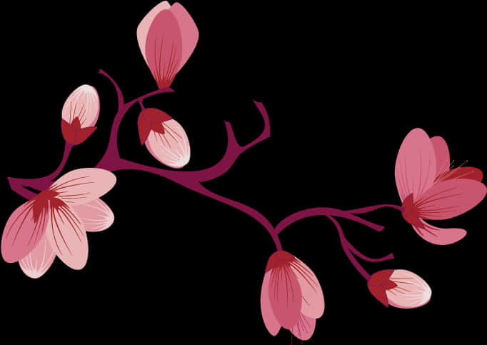 Elegant Pink Flowers Vector Illustration