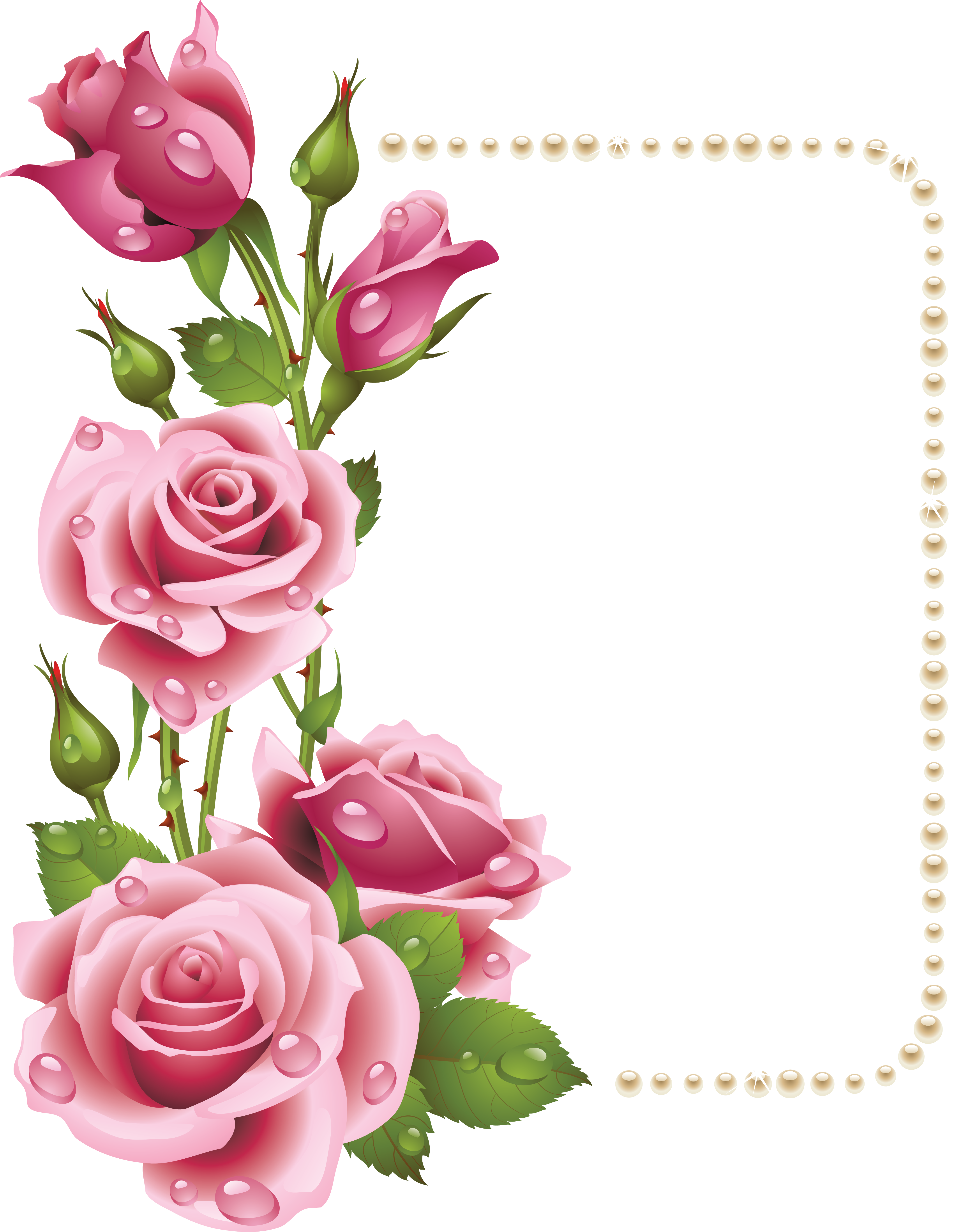 Elegant Pink Rose Frame