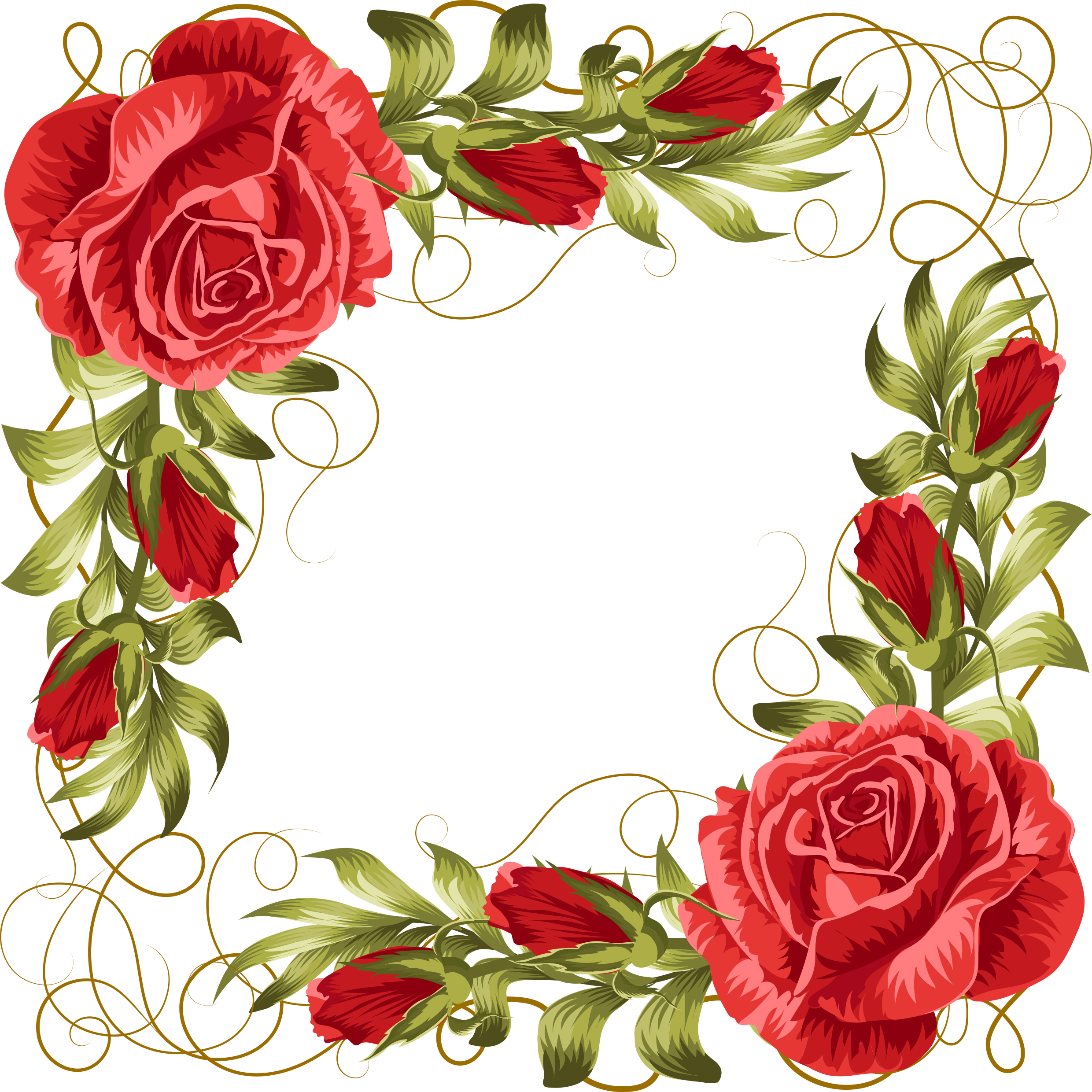 Elegant Red Rose Floral Frame