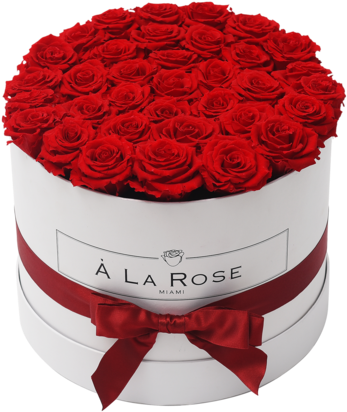 Elegant Red Roses Birthday Bouquet