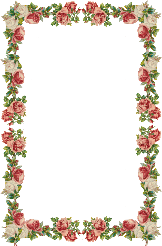 Elegant Rose Border Vector Design