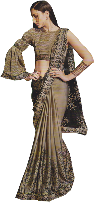 Elegant Saree Model Pose