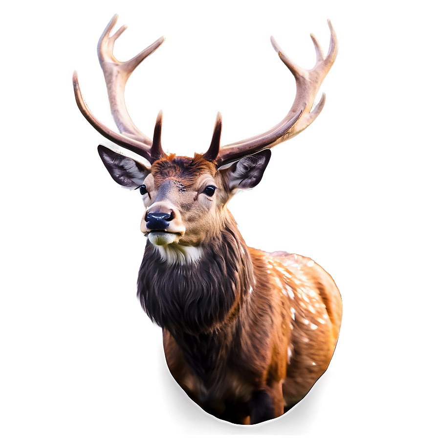 Elegant Stag Design Png Dpf