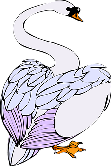 Elegant Swan Illustration