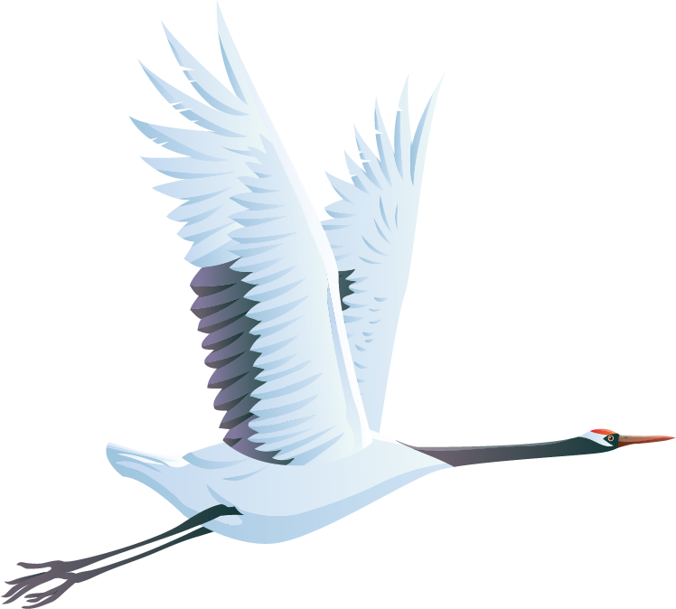 Elegant Swan In Flight