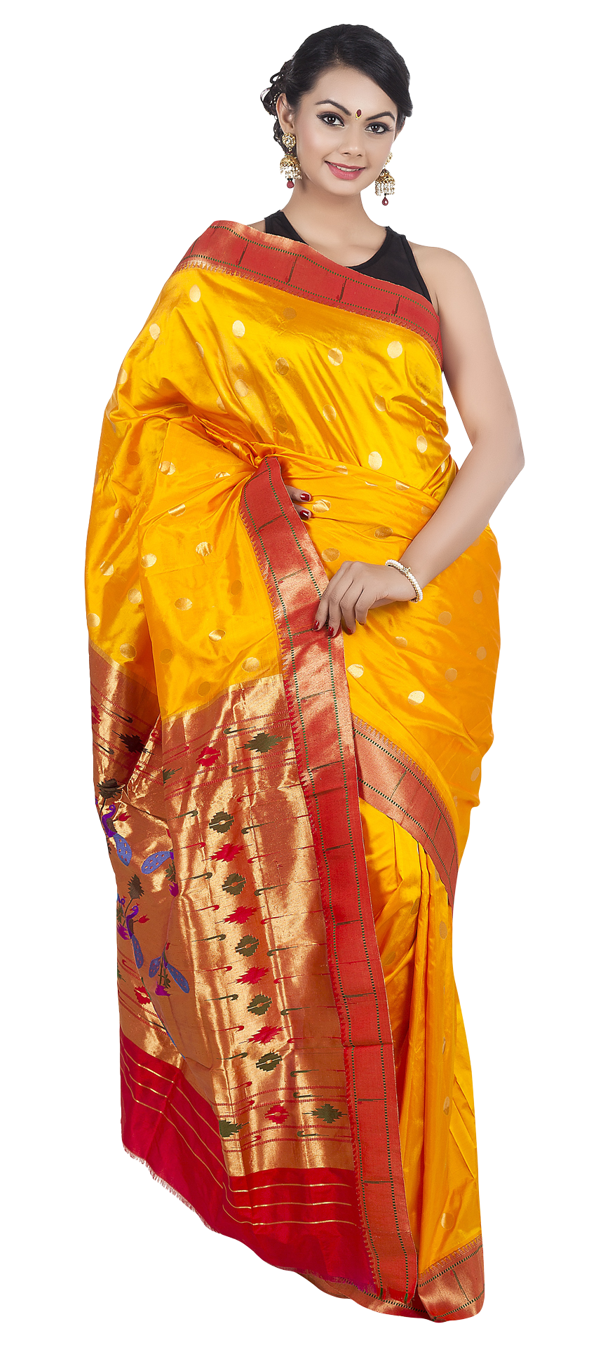 Elegant Traditional Saree Attire