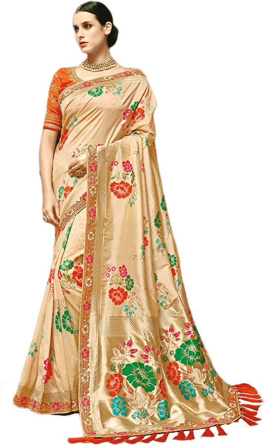 Elegant Traditional Saree Model