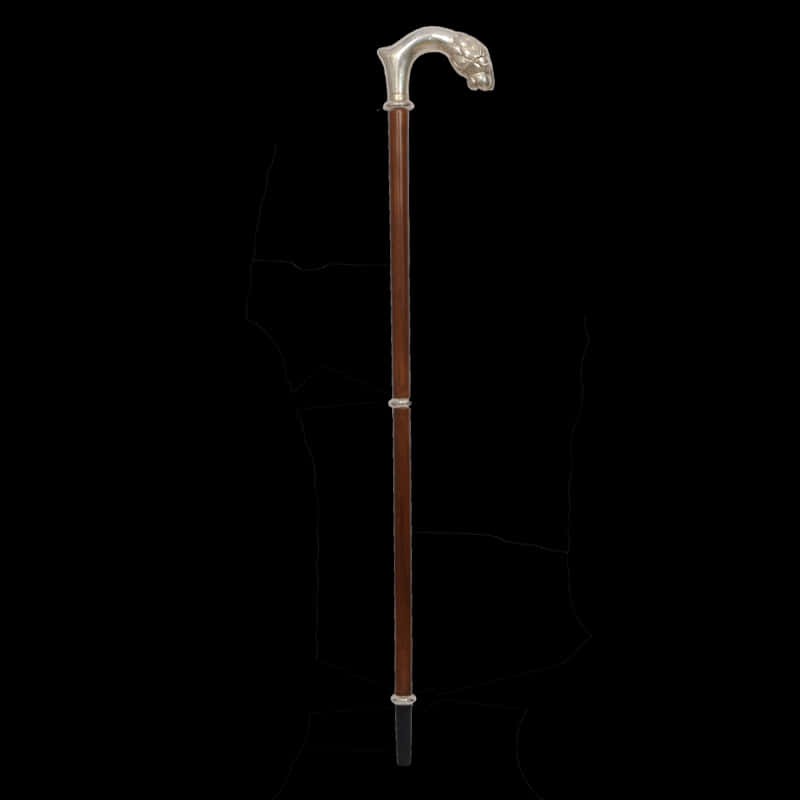 Elegant Walking Cane