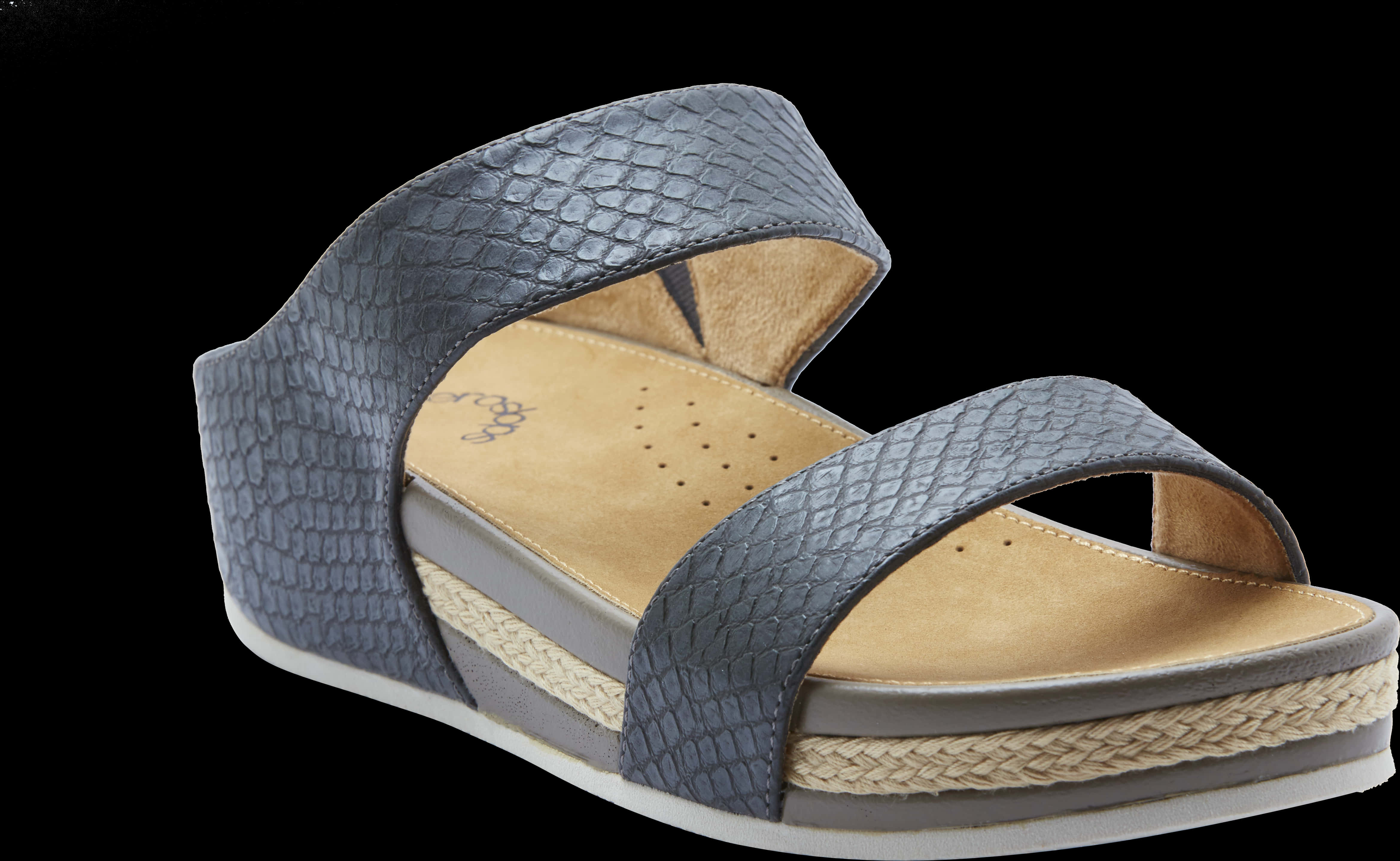 Elegant Wedge Sandal Isolated