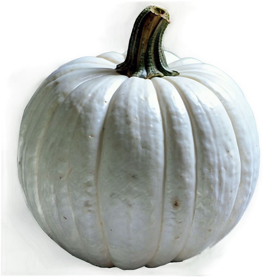 Elegant White Pumpkin Png Rmv99