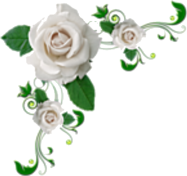 Elegant White Rose Corner Design