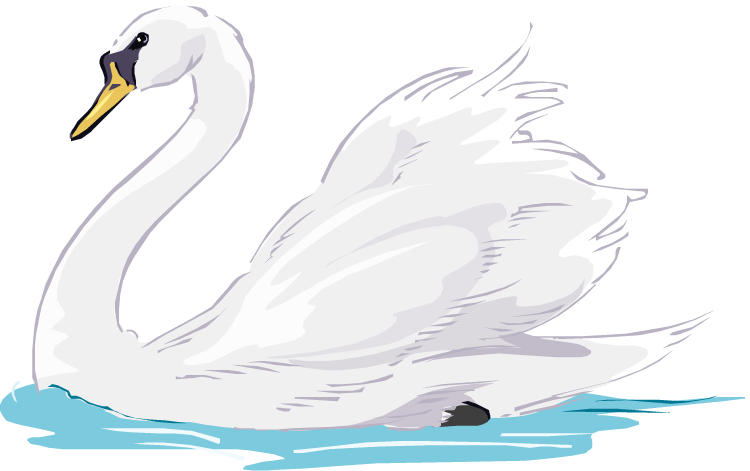 Elegant White Swan Illustration