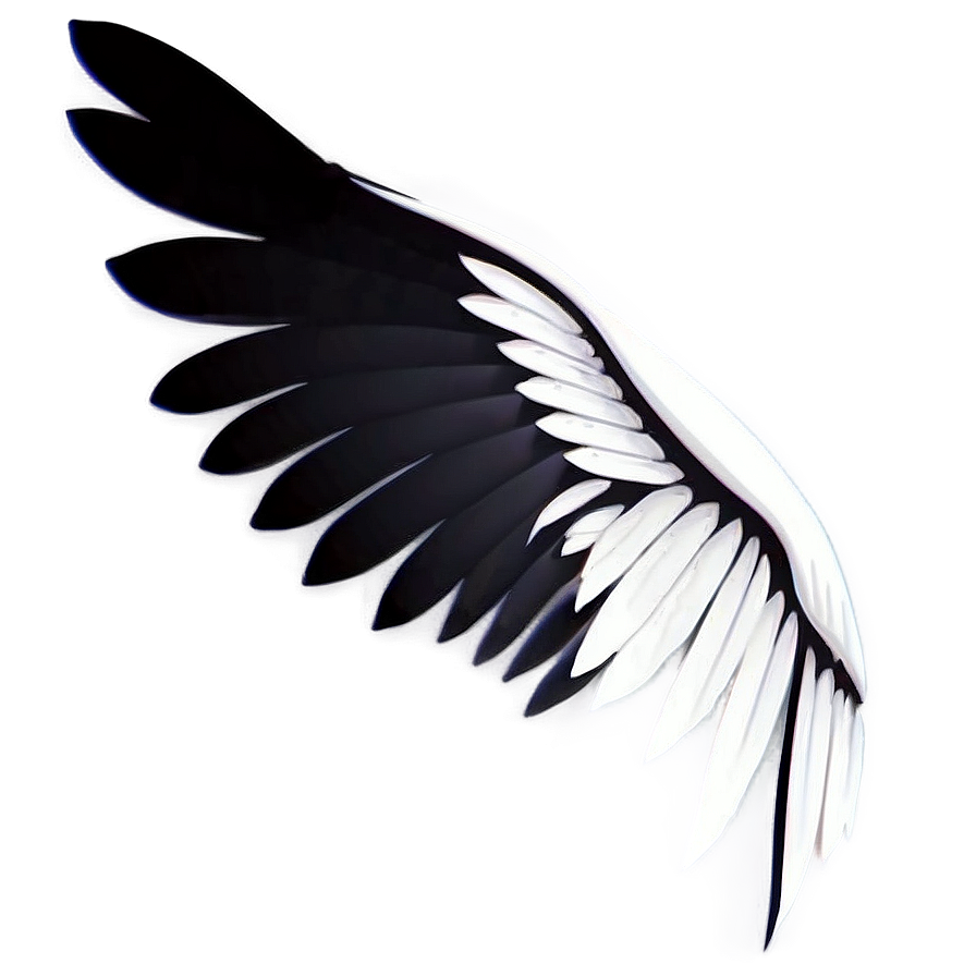 Elegant White Wings Silhouette Png 71