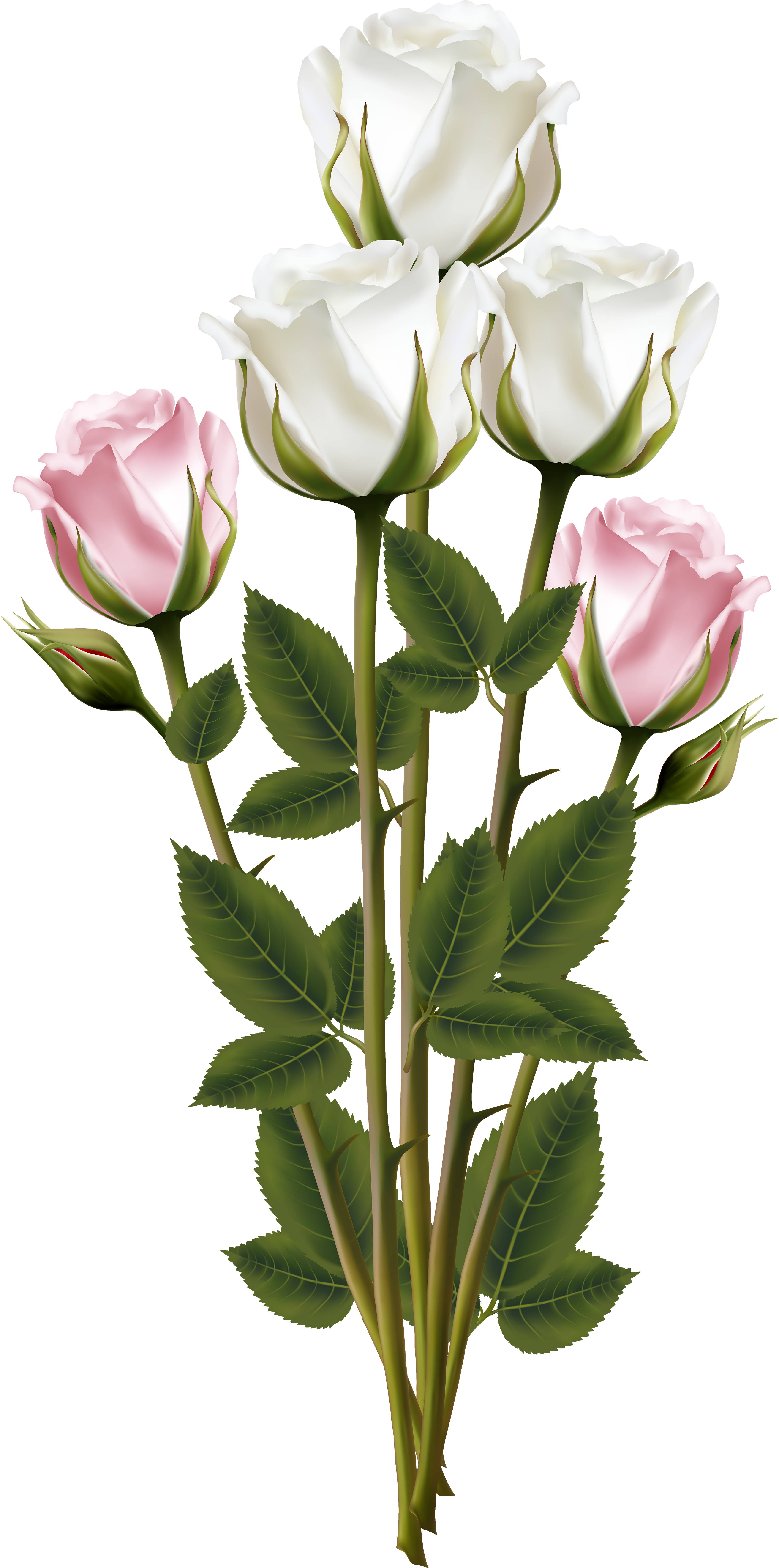 Elegant Whiteand Pink Roses Bouquet