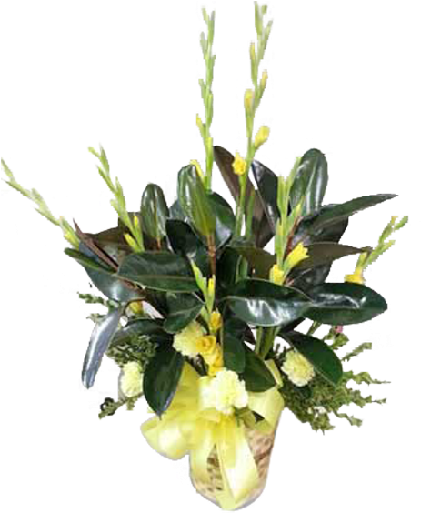 Elegant Yellow Gladiolus Arrangement