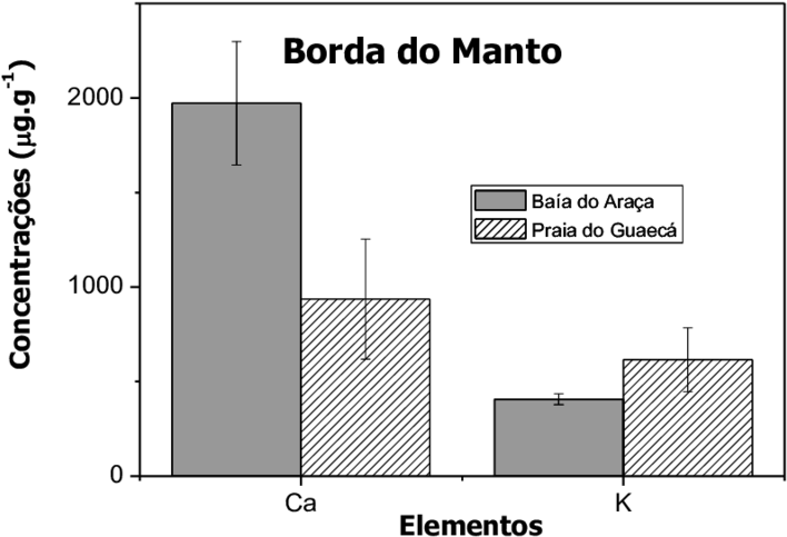 Element Concentration Comparison Brazilian Beaches