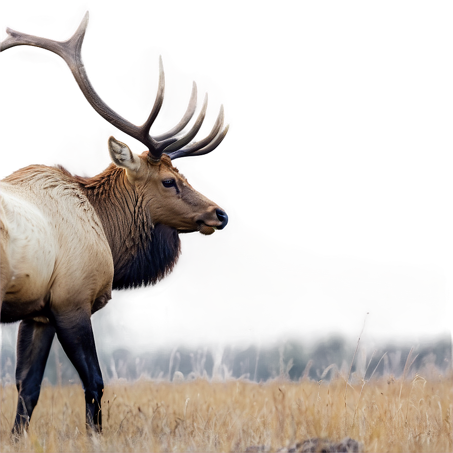 Elk Habitat Png Mhx