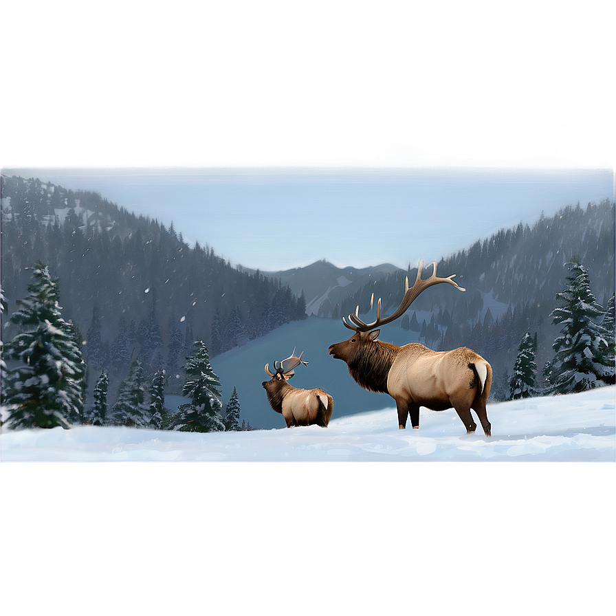 Elk In Snow Png 26