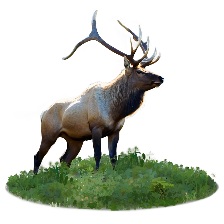 Elk In The Wild Png 05242024