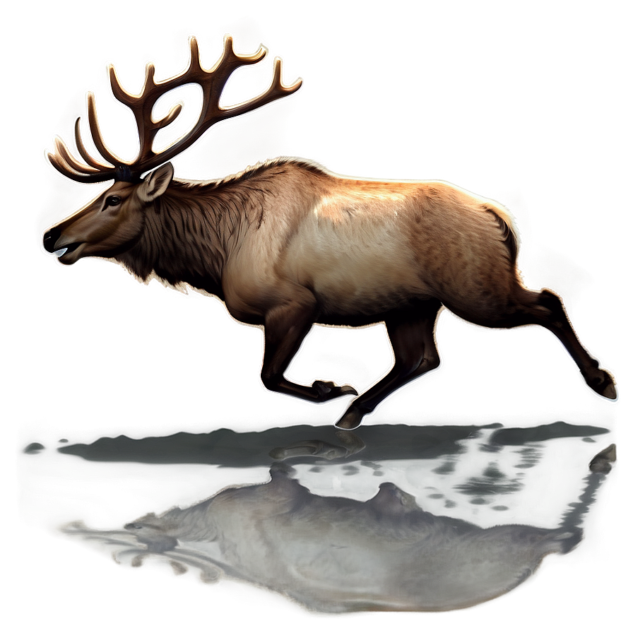 Elk Running Png 05242024