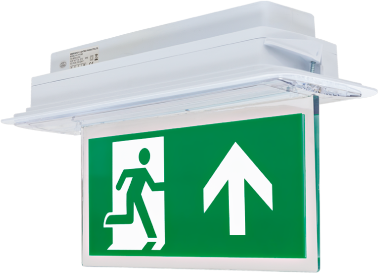 Emergency Exit Sign Illuminated