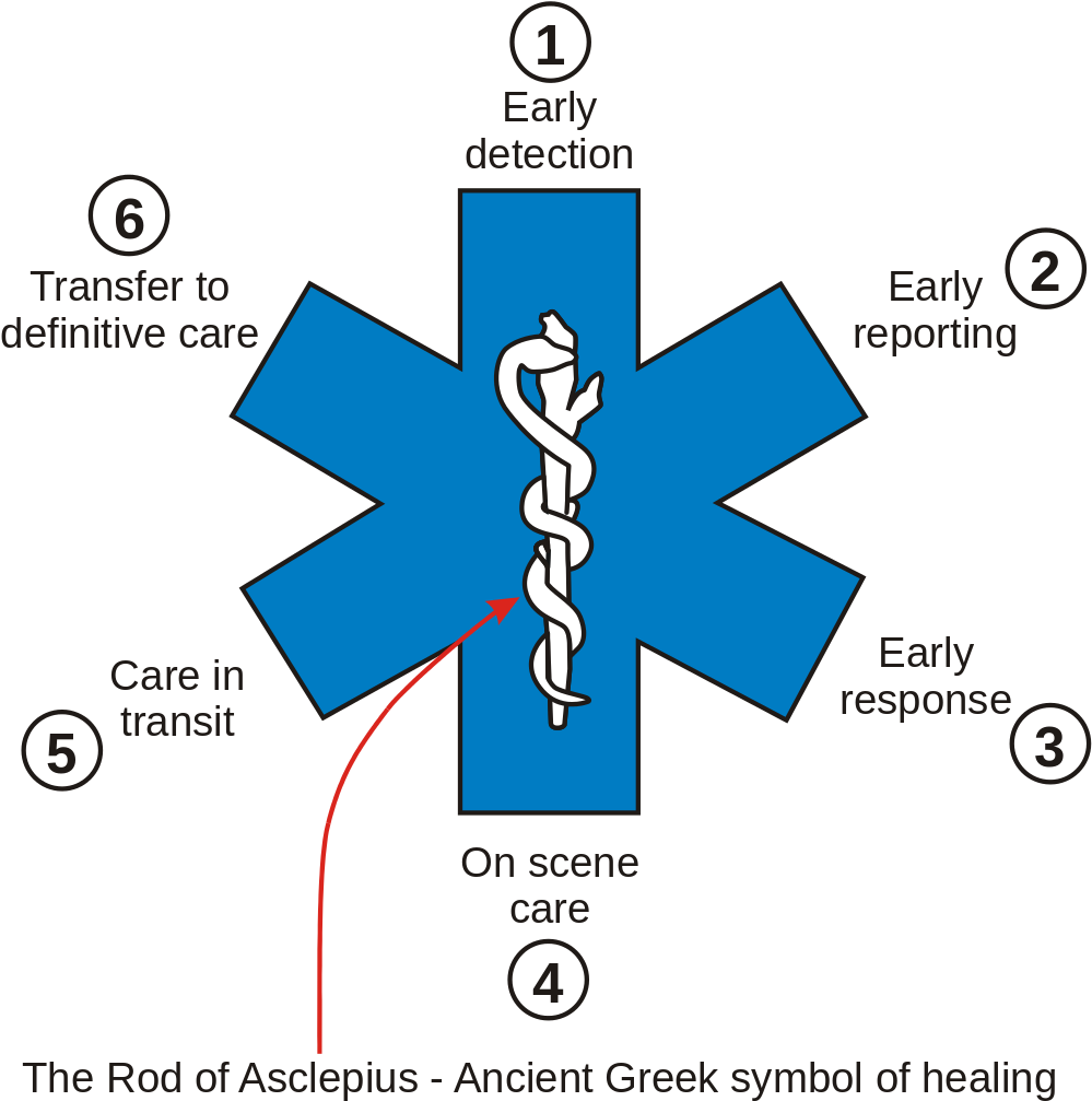 Emergency Medical Services Process Asclepius Rod