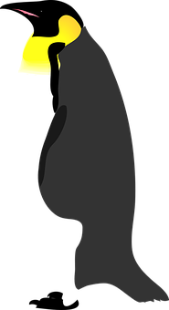 Emperor Penguin Silhouette