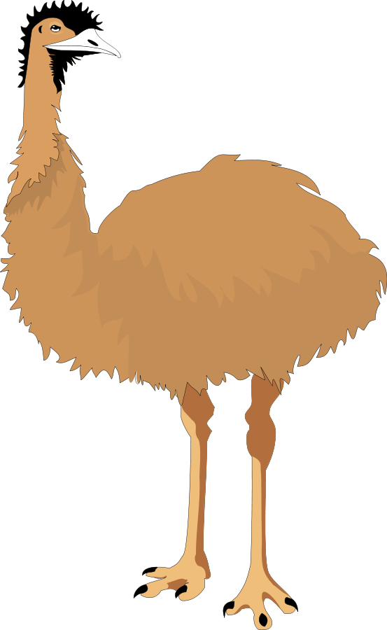 Emu Vector Illustration