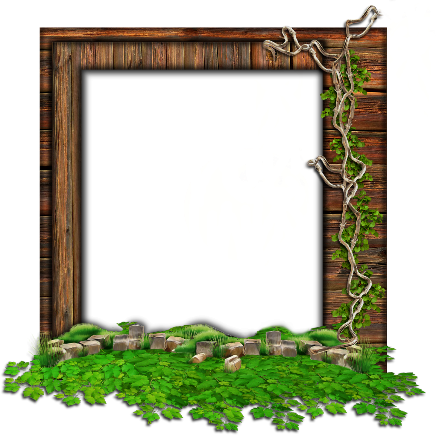 Enchanted Forest Frame