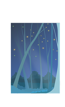 Enchanted Forest Night Scene