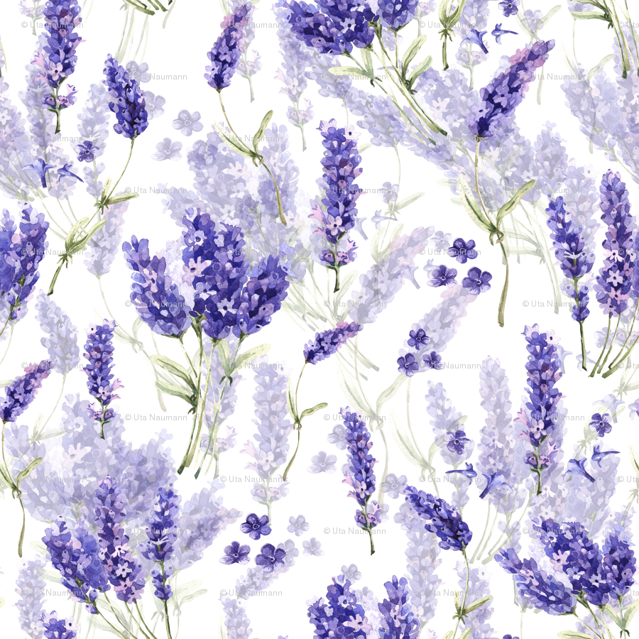 English Lavender Pattern Background