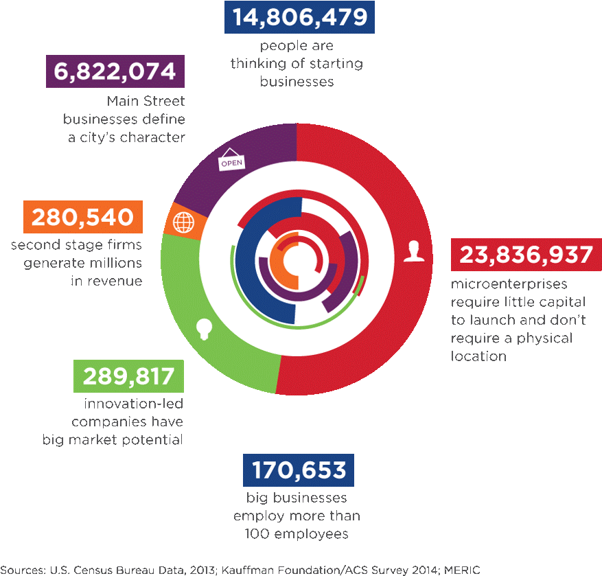 Entrepreneurship Statistics Infographic