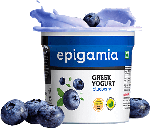 Epigamia Greek Yogurt Blueberry Splash