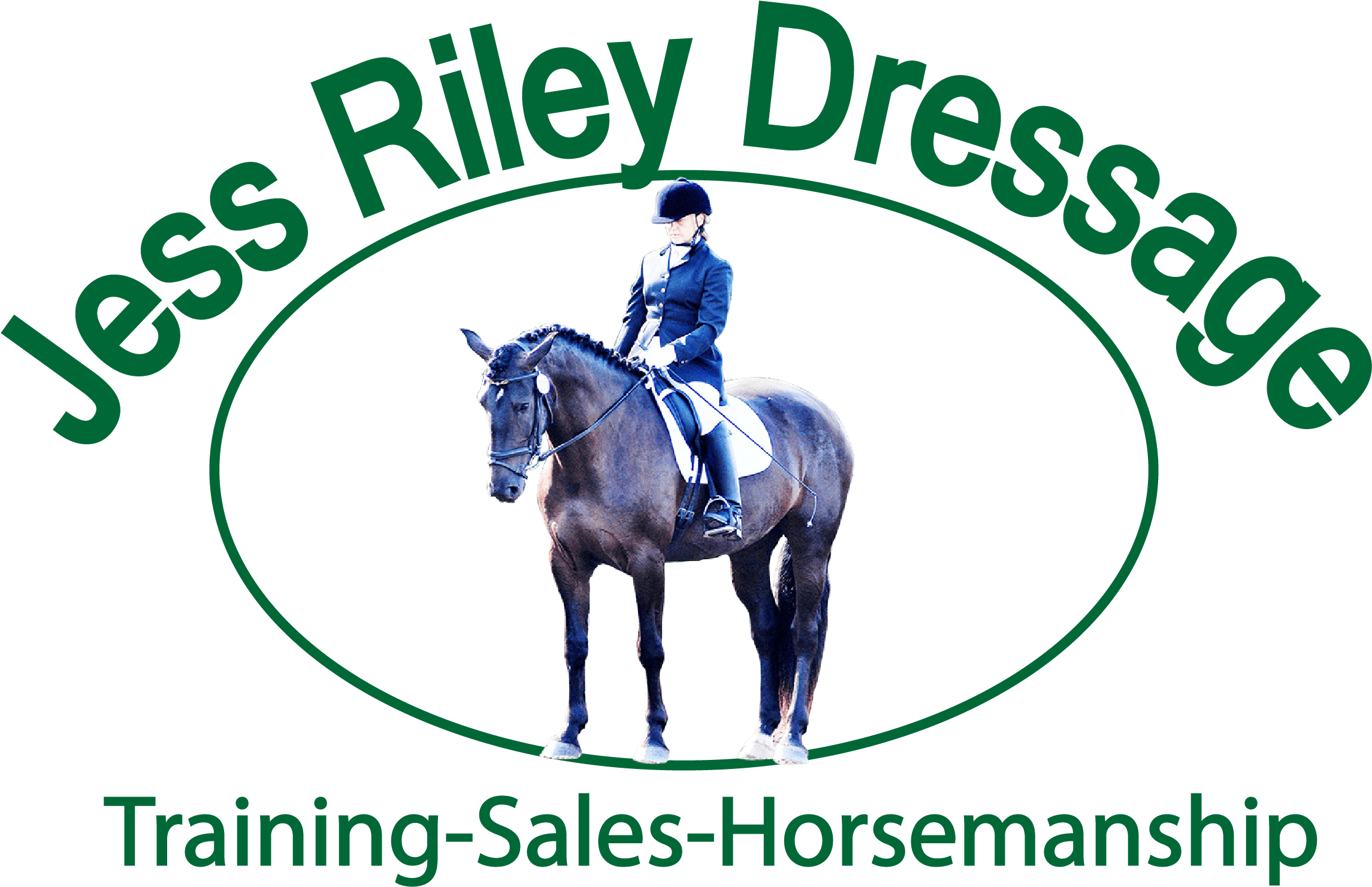 Equestrian Dressage Training Ad