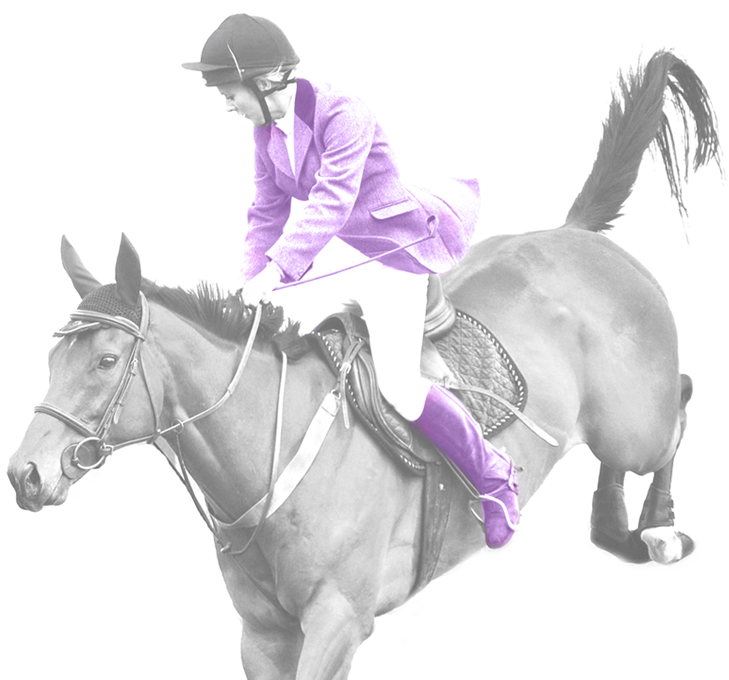 Equestrianin Purple Jacket Riding Horse