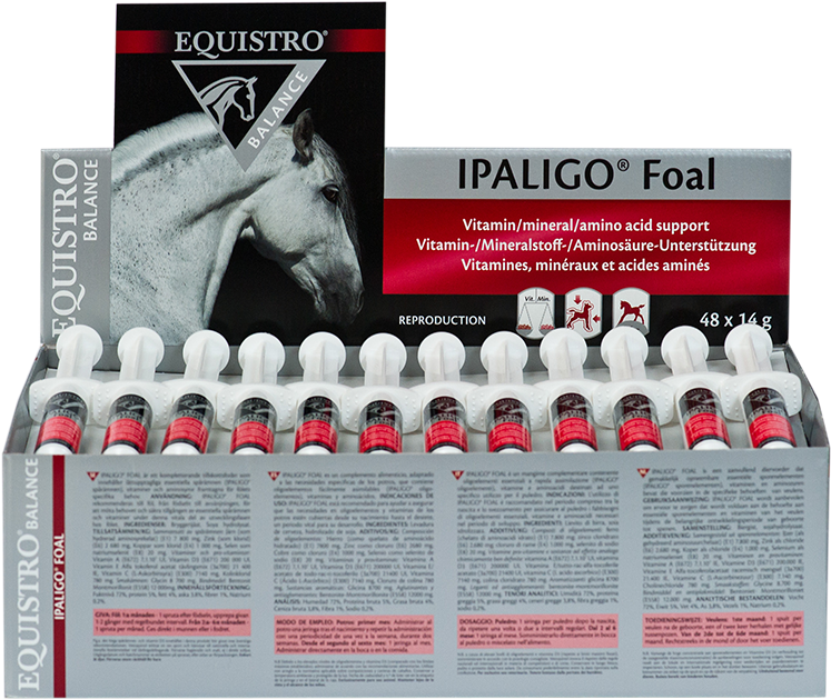 Equistro Ipaligo Foal Supplement Packaging