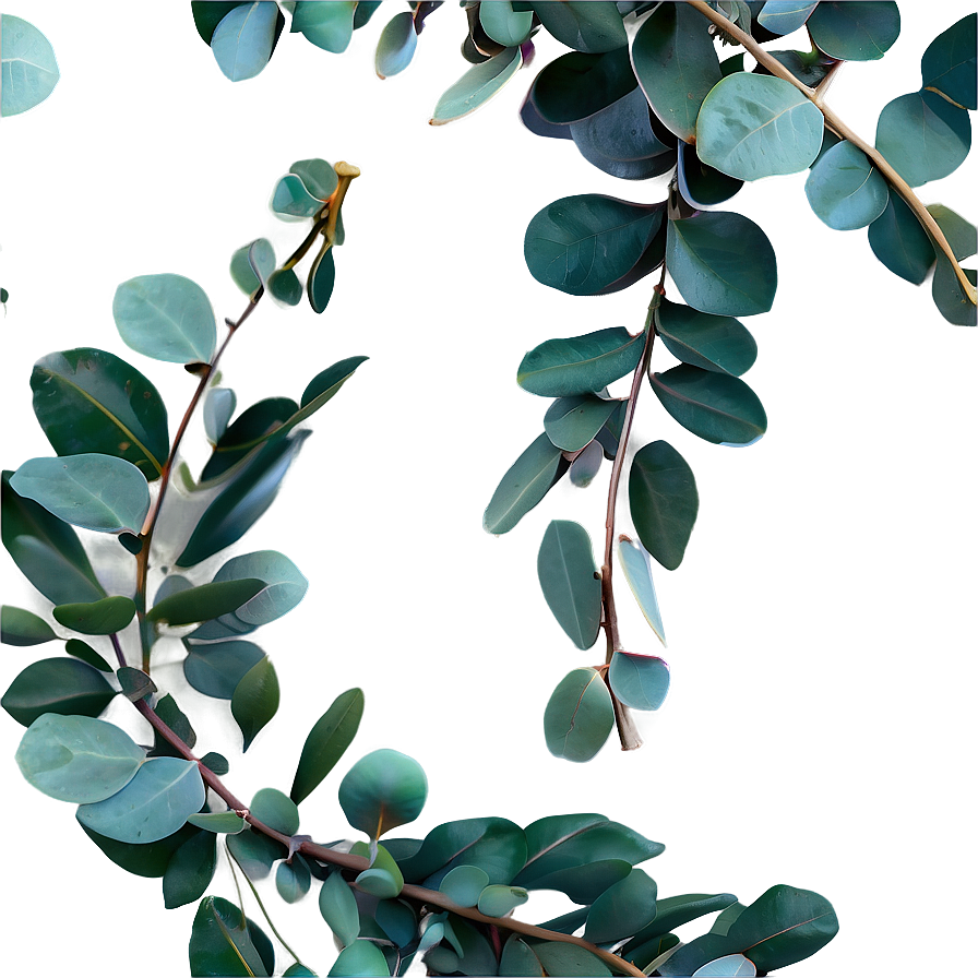 Eucalyptus Garland Png 06272024