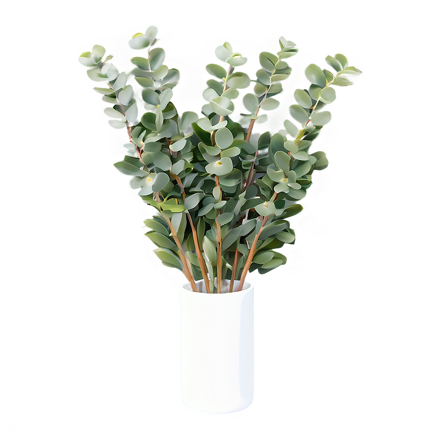 Eucalyptus In Vase Png 8