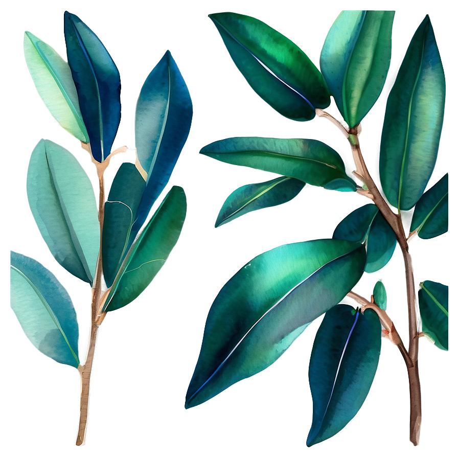 Eucalyptus Sprig Watercolor Png 2