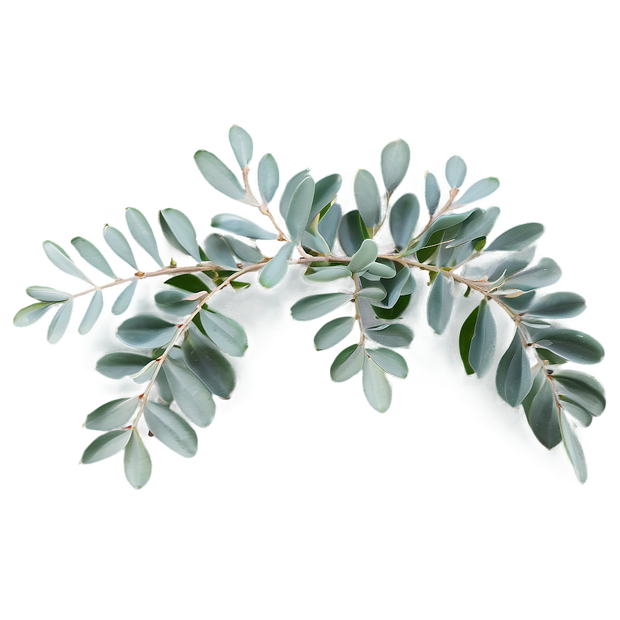 Eucalyptus Table Centerpiece Png 39