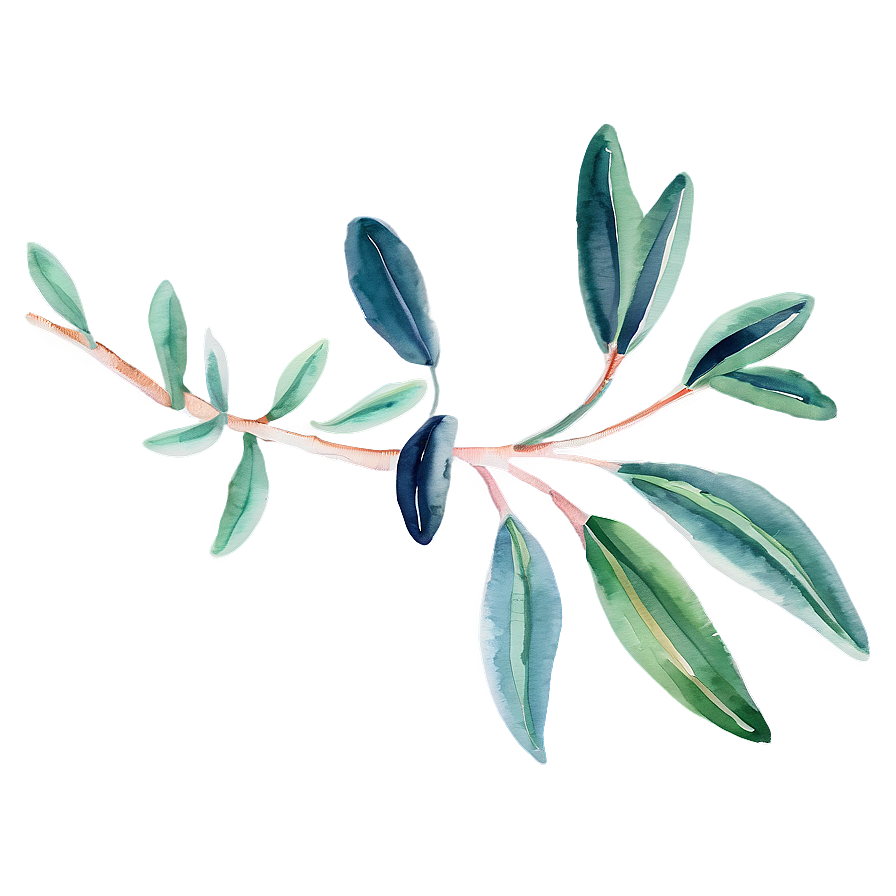 Eucalyptus Watercolor Scarf Design Png 2