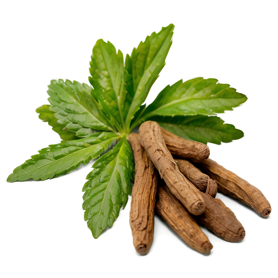 European Herb Png 1