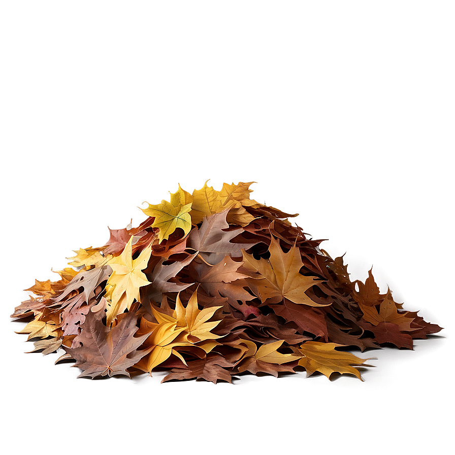 Evening Leaf Pile Png 06202024