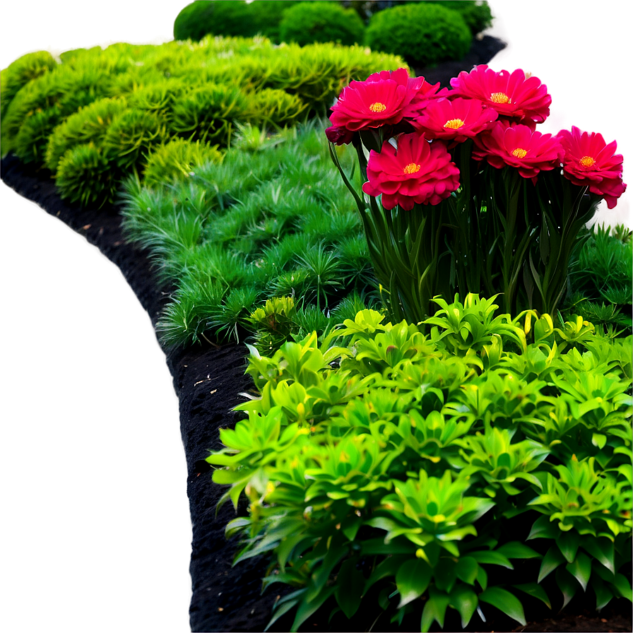 Evergreen Flower Bed Png 29