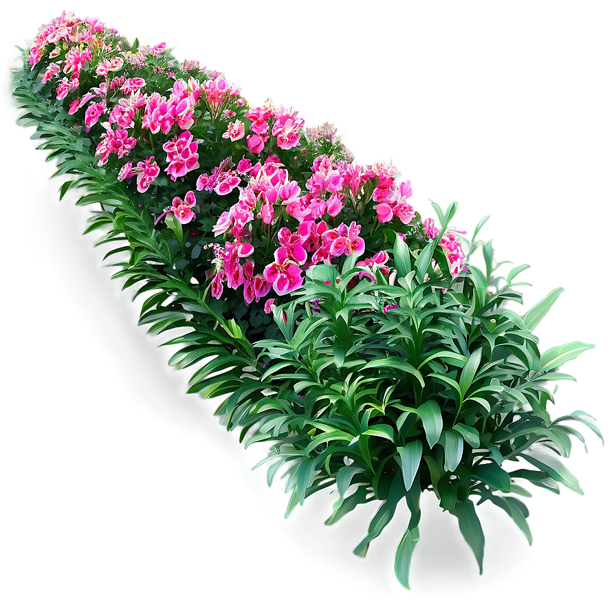 Evergreen Flower Bed Png Mjc