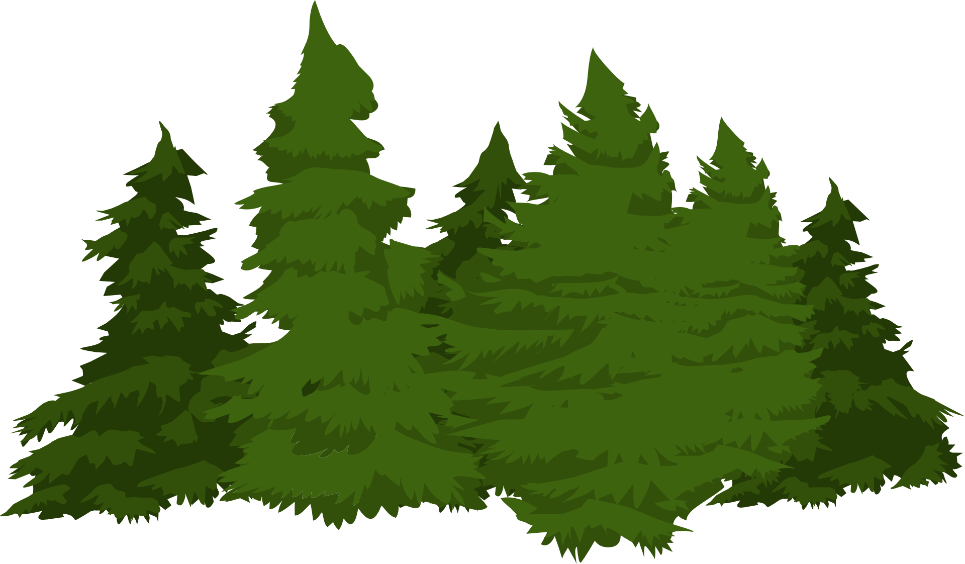 Evergreen_ Forest_ Illustration.png