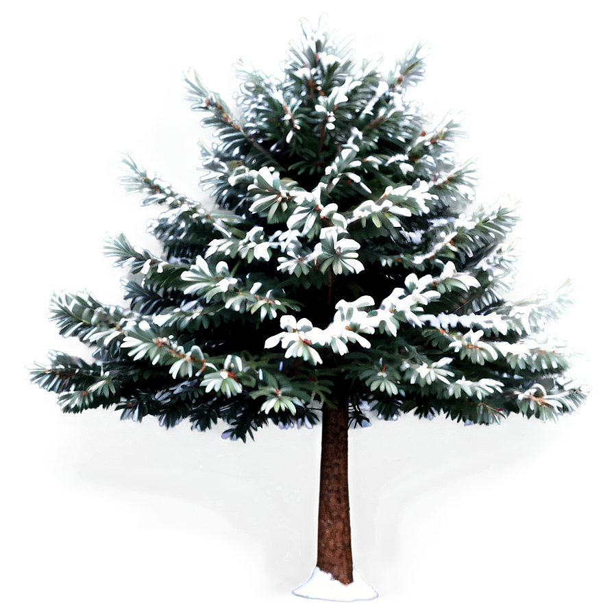 Evergreen Tree Design Png Mik